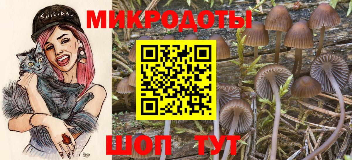 Полысаево  Галлюциногенные грибы GOLDEN TEACHER  что такое   Вход с VPN  Псилоцибиновые грибы мухоморы 