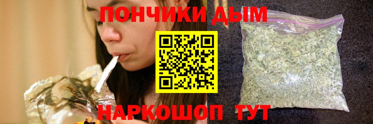 Конопля сатива Полысаево